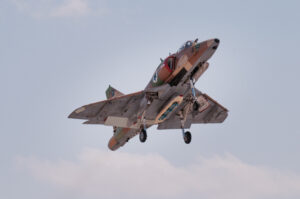 Landing Hawk